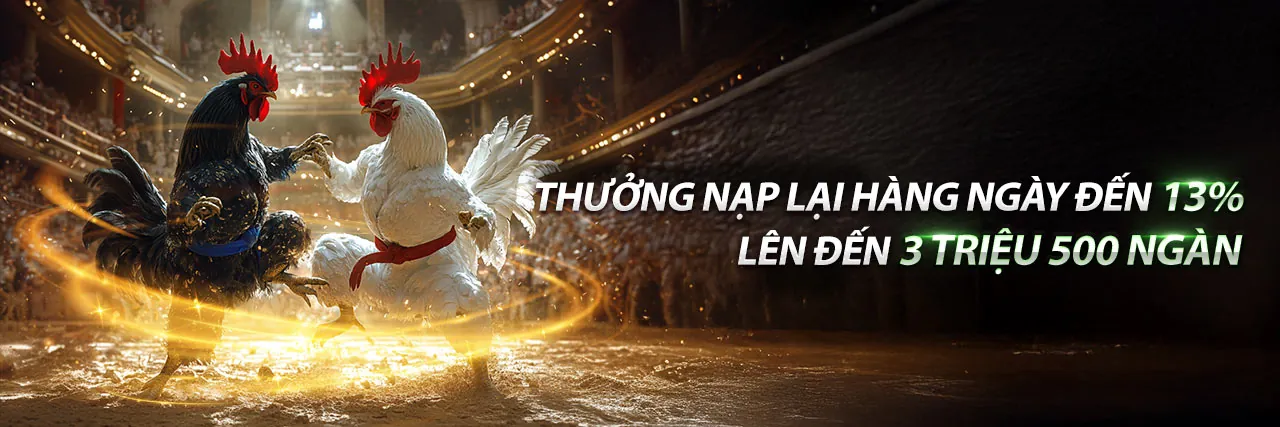 Cá cược thể thao nk888 app 2026